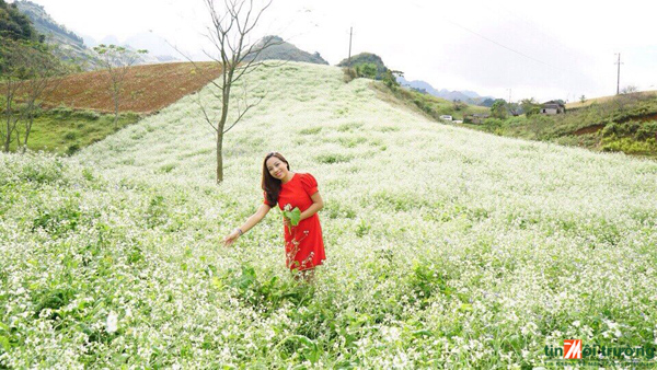 Không[-]khí[-]mát[-]mẻ[-]dễ[-]chịu[-]trong[-]ngày[-]Nhà[-]giáo[-]Việt[-]Nam[-]